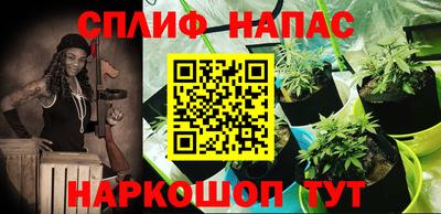 jwh Славянск-на-Кубани